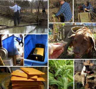 Dedicated Roofers Cross Dangerous Creek Image